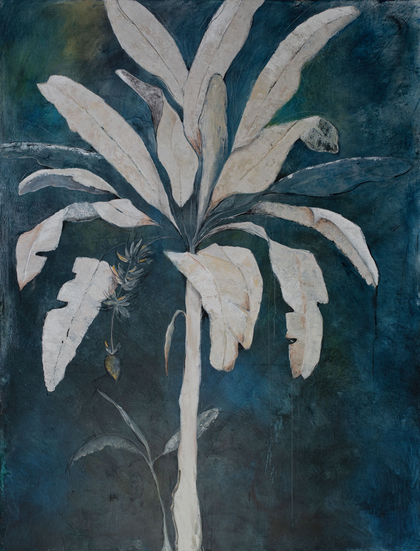 Botanical Art by Debbie Frost