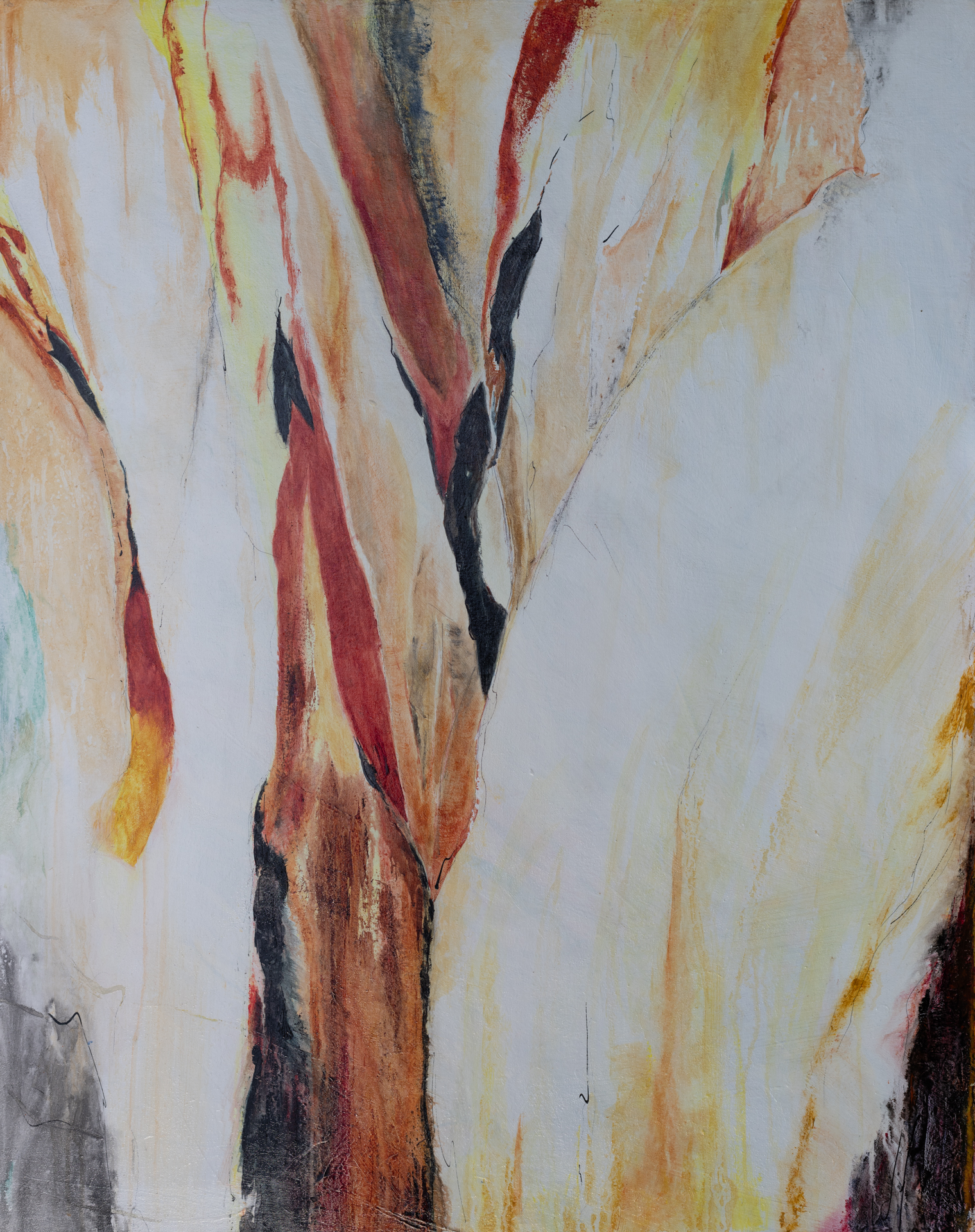 Botanical Art by Debbie Frost