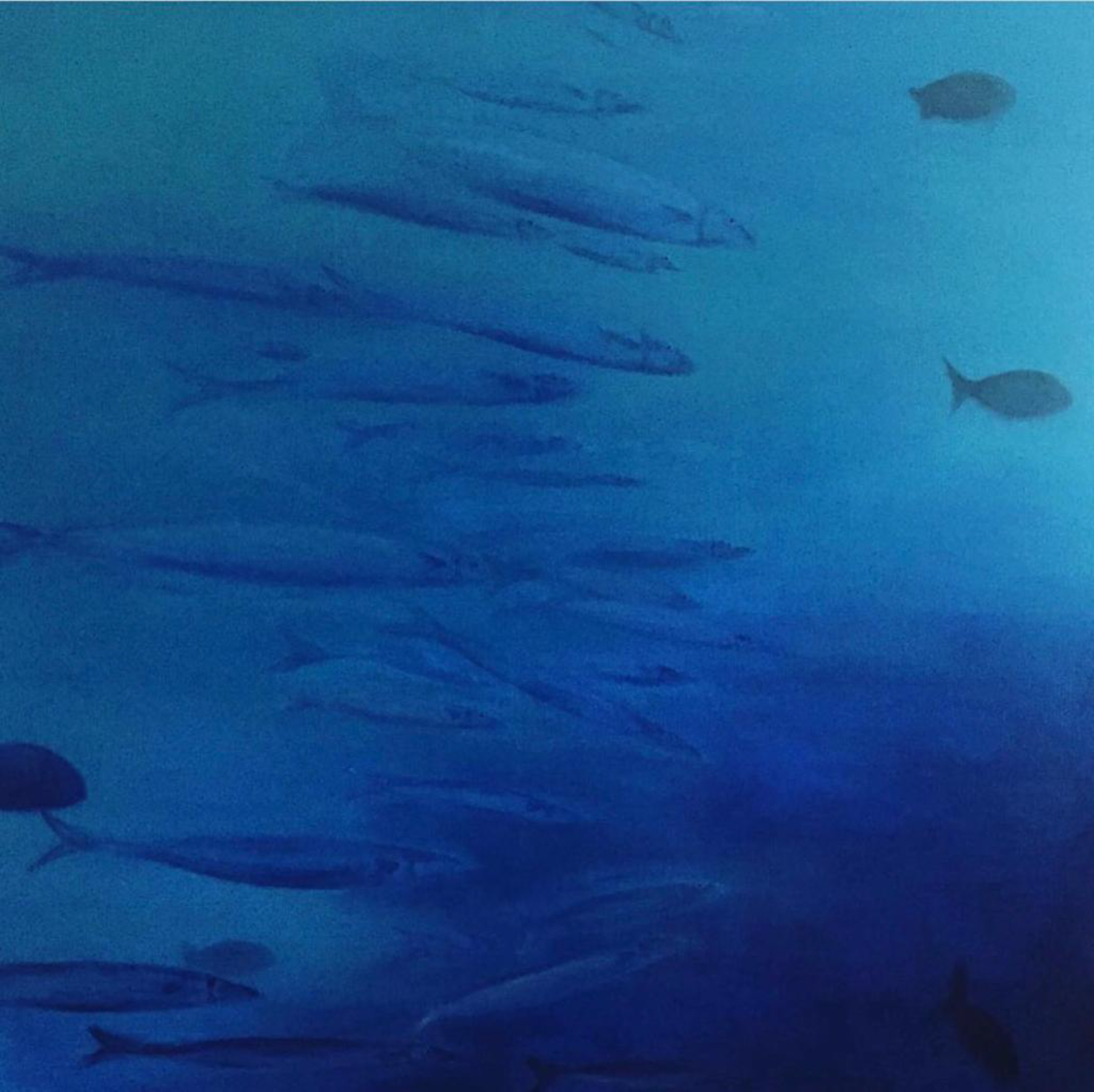 Scapes by Debbie Frost Art